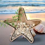 Seashells Holders Shadows Box Wooden Seashells Display Case with Acrylic Window
