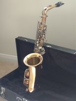 Earlham Alto Saxophone with Case and Accessories Gold Finish