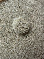 100g Ant Sand - Optimal for Ant Farms
