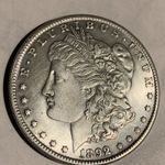 🇺🇸 USA 1 Dollar Morgana 1892 kopia