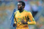 SOUTH ARICA, TOTTENHAM & PRESTON: BONGANI KHUMALO SIGNED 6x4 ACTION PHOTO+COA