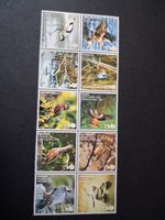 SG2764-2773 2007 Birds Action For Species Stamp Set 10x1st Superb UMM MNH