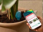 SmartyPlants Monitor Five Sensor Pack 