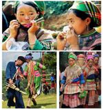 Full Set of 4 pcs Danmoi Jaw harp Jew's harp Mouth Harp lips twanger Hmong