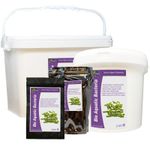 Hydra Bio Aquatic Bacteria (Nitrifying Bacteria) 1 kilo treats 100,000 litres