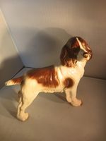 Vintage Porcelain English Springer Spaniel Dog Figurine Made In England7.5x9Inch