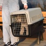 XL Portable Pet Carrier Cat Puppy Travel Cage Dog Carry Transporter Box Basket