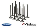 VW 1.8T 20v | SUPERTECH 12x STD Nitrided Inlet Valves Triple Groove