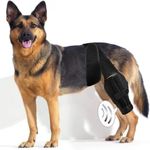 Dog Knee Brace Hind Leg Strong Support Dog Leg Brace for Torn Acl Recovery