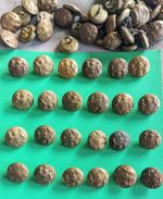 SINGLE ORIGINAL WWI/WWII GENERAL SERVICE BUTTONS. SMALL TUNIC. SEE DESCRIPTION.