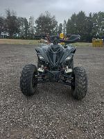 Quad Bike Petrol