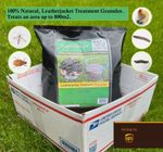 Leatherjacket Killer Treatment, PredatorTurf, Quick Action for Crane Fly Larvae