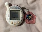 Hakugin Chou Enjoy - Japanese Language V4 with keychain - slight discolouration 