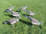 6pc Pigeon Decoys Deterrent Pest Control Pegs Half Shell Plastic Shooting Target