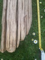 1.5 Metre Long Log Driftwood Beautiful Unique