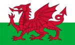 Wales Flag 3X2FT 5X3FT 150*90CM 90*60CM  Red Dragon Y Ddraig Goch