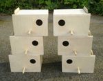 3 Pairs Of Budgie Nest Nesting Breeding Boxes  9" x 6" x 6"