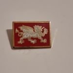 Anglo-Saxon White Dragon of England badge - 25mm diameter 