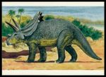 POSTCARD OLD POSTCARD DINOSAURS DINOSAUR DINOSAUR DINOSAURI m3506