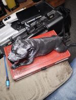 STAFFORDSHIRE BULL TERRIER NEW "FROGDOG" DESIGN