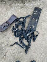 Horse Lunging Set Cob To Full Size