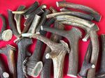 One Piece of Natural Deer Antlers ,  100% Natural  'BUY THREE GET ONE FREE!!!