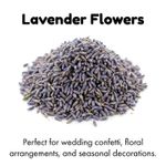 Dried English Lavender Flowers 250g – Natural Buds for Potpourri, Soap & Candle