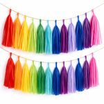 5 Tassel Garland Tissue Paper Bunting Wedding Birthday Party Balloon Décor UK