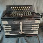 Professional Chromatic Small Button Accordion 29 Buttons 17 Bass 12 Treble Black