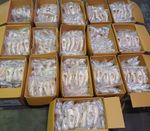Bloch Amelie Soft Pointe Shoes (S0102L) VARIOUS SIZES / NEW