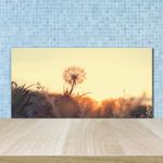 Tulup Kitchen Glass Splashback 100x50 Dandelion