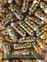 Aquarium ROOT TABS PRO 25/50/100 / Slow Release Plant Fertiliser Capsules