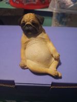 JXK PUG 1/6 Dog Animal Model In Original Box 📦