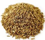 Spices Market -Fennel Seeds Free UK P&P - Multiple Packs - New