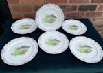 Vintage Noritake, Fish design, scalloped, decorated rim 22cm plates x 6 VGC