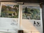 Shell Guide To Trees January / December Rare Set Of 12 Educational Wallcharts
