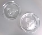 Champagne Wine Bottle Coasters x 2. Hoya Crystal Glass. HORSE Reverse-Etched. 5"