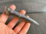 Fossil Belemnite (Jurassic Squid), Whitby, Yorkshire, England.