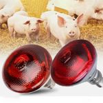 2/4X 250W Red Infrared Heat Light Lamp Bulb for Brooder Coop Chicks Pet Reptile