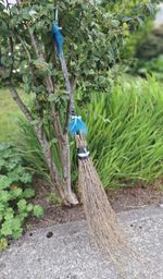 witch besom, broomstick, witch's broom