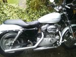 harley davidson xl883c sportster 2004 only 6000 mls
