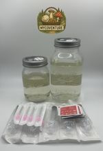Sterile Liquid Culture Kit 750ml, 350ml - Turn 1x Culture Syringe Into 35x-75x
