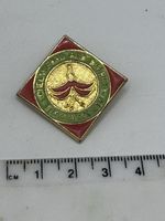 Rare Vintage Chelmsford & District Fuchsia Society Enamel Pin Brooch Badge