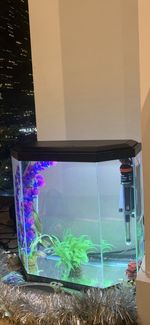 Ciano 25L Fish Tank Complete Kit – LED, Heater, Filter, Air Pump & Cleaner