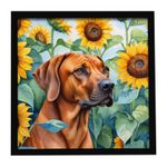 Caroline's Treasures Rhodesian Ridgeback in Sunflowers Framed Metal Print