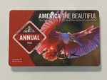 America The Beautiful National park Annual Pass Yellowstone Grand Canyon Zion