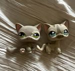 LPS Littlest Pet Shop #467 and #468 collectible set