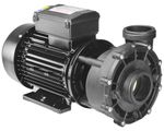LX WP250-II 2 Speed 2.5 HP Hot Tub Pump - 0982801, Hot Springs 730, Wavemaster
