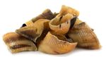 Dried Cow Calves HOOVES Grade A Empty Hoof Pet Treat Dog Chew - 48 Tracked