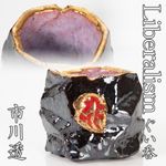 Toru Ichikawa Liberalism Sake Cup Guinomi Ceramic Authentic Tomobako Japan